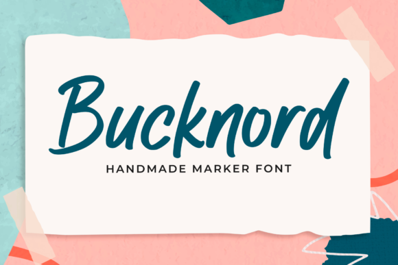 Bucknord: A Playful Font for Professional Branding