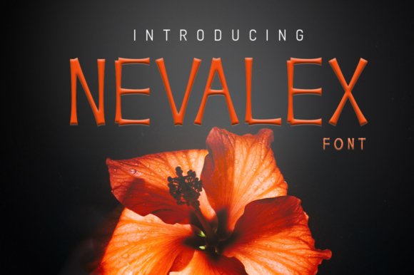 Nevalex: A Display Font That Elevates Every Campaign